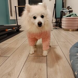 Cozy Pink Dog Sweater